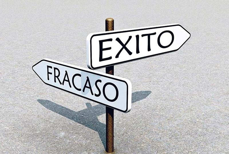 Programas personalizados de desarrollo profesional: descubre el camino perfecto para ti